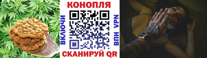 купить закладку  Артёмовский  Canna-Cookies марихуана 