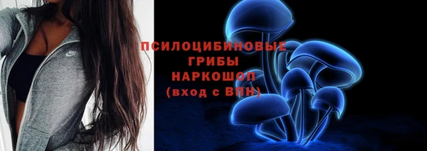 прущие крисы Арсеньев