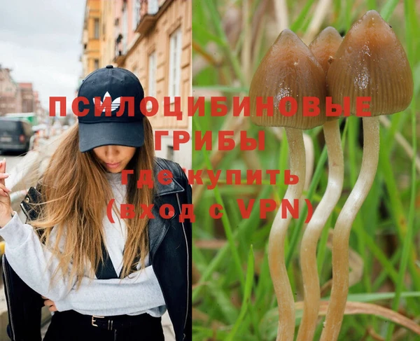 прущая мука Армянск