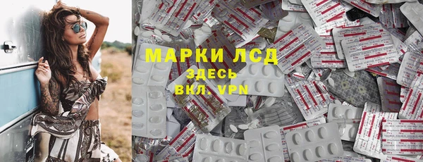 PSILOCYBIN Аркадак