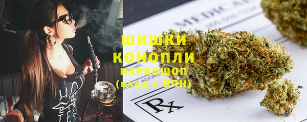 PSILOCYBIN Аркадак