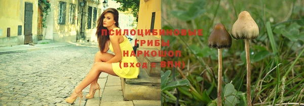 PSILOCYBIN Аркадак